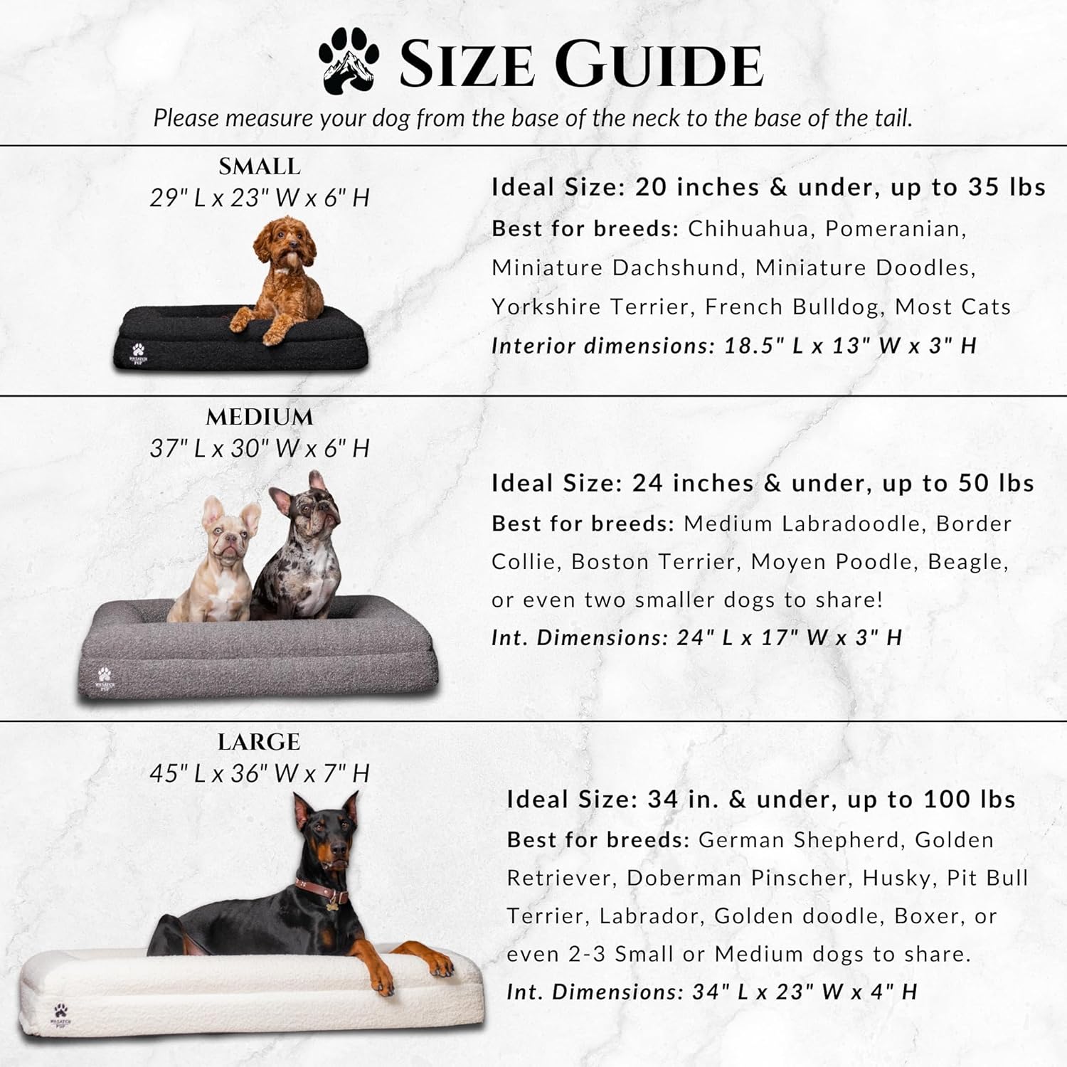 Don't Wait for the Limp — Memory Foam Joint Support for Dogs & Cats