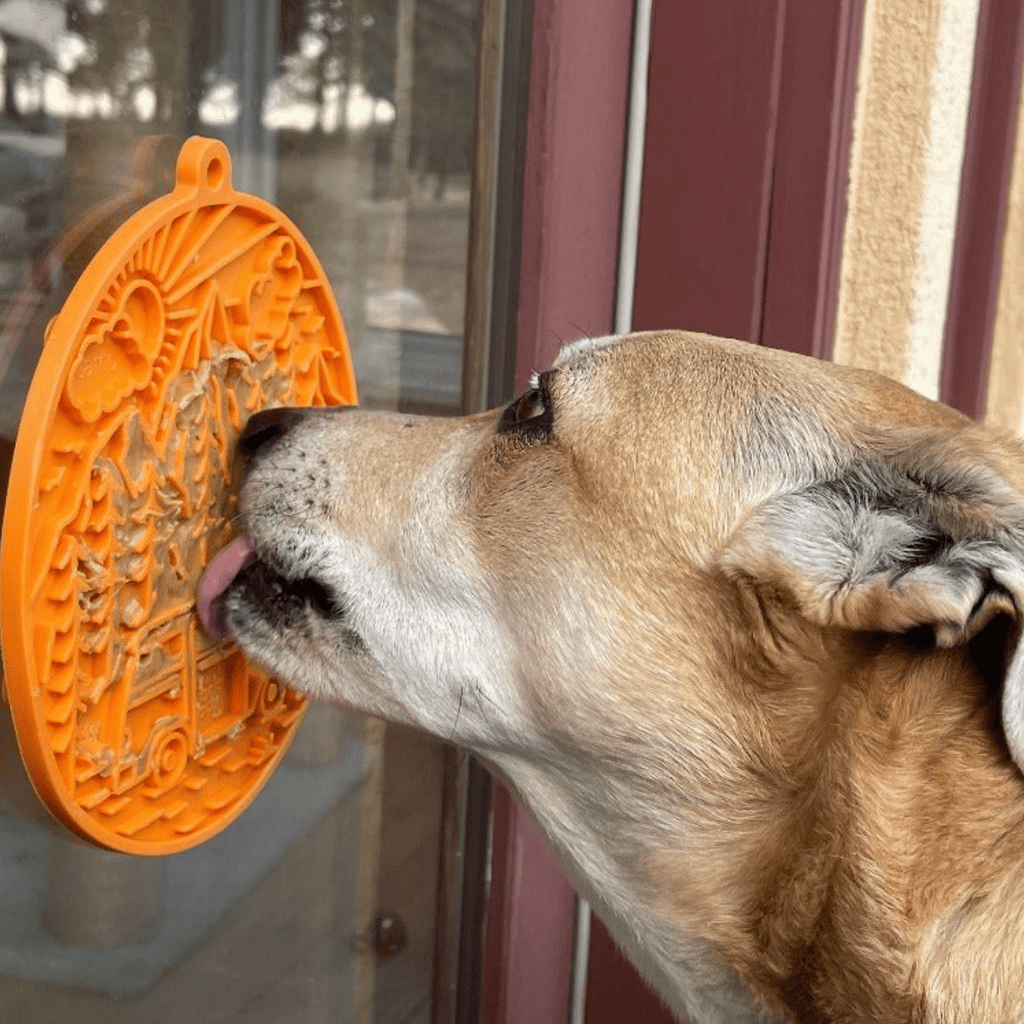 Fast Shipping：Dog Lick Mats with Suction Cups