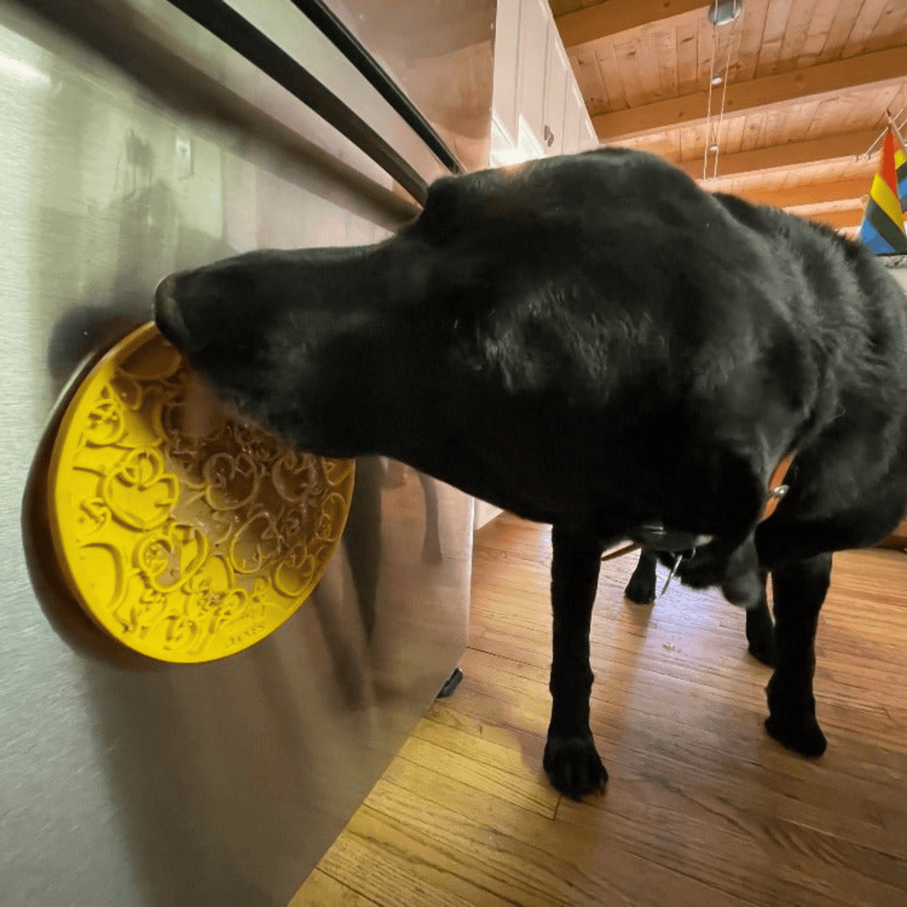 Fast Shipping：Dog Lick Mats with Suction Cups