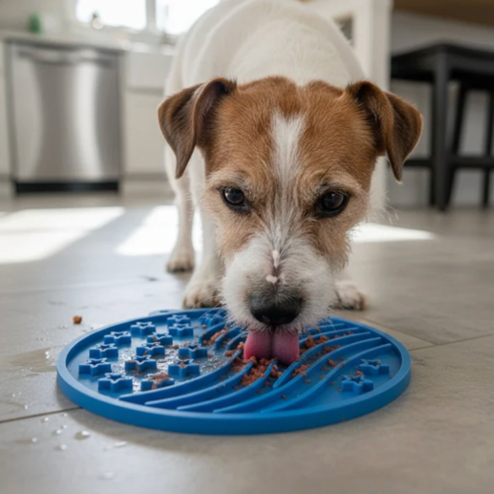 Fast Shipping：Dog Lick Mats with Suction Cups