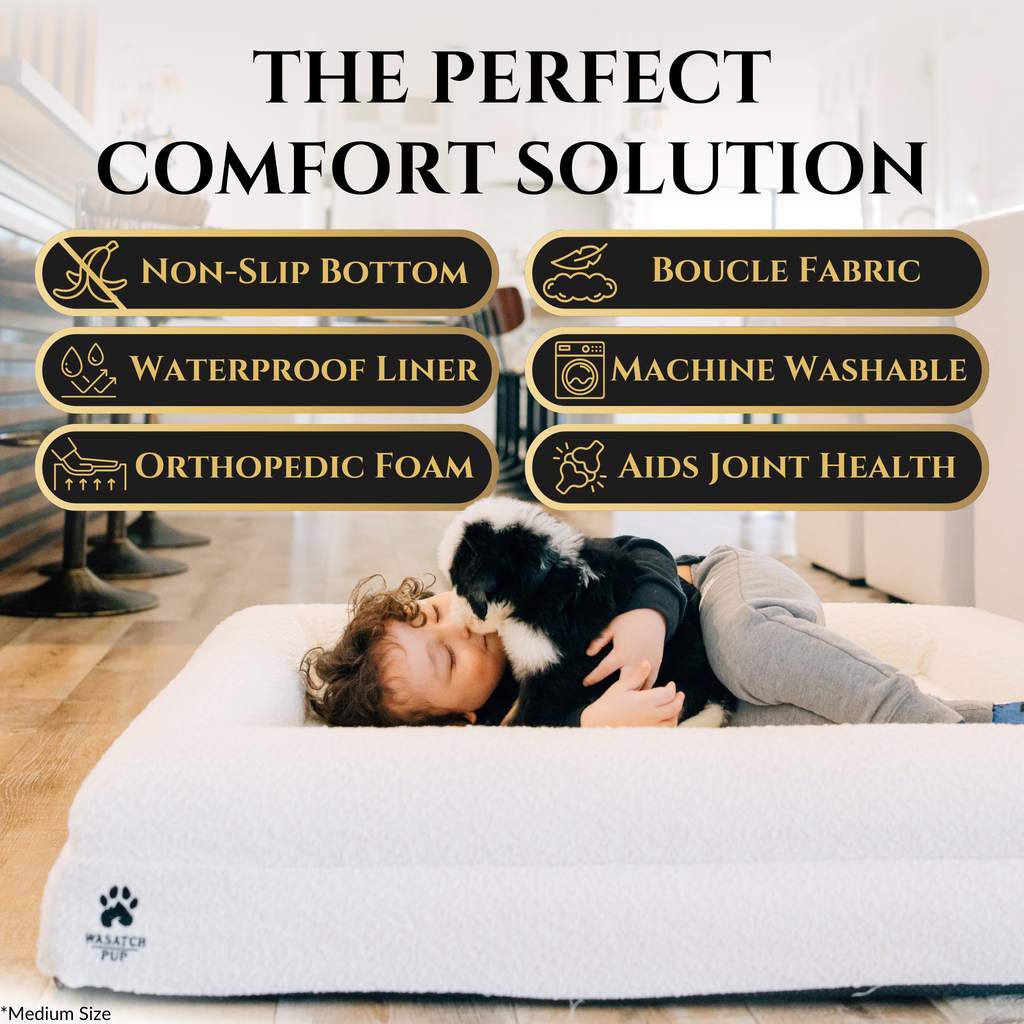 Don't Wait for the Limp — Memory Foam Joint Support for Dogs & Cats