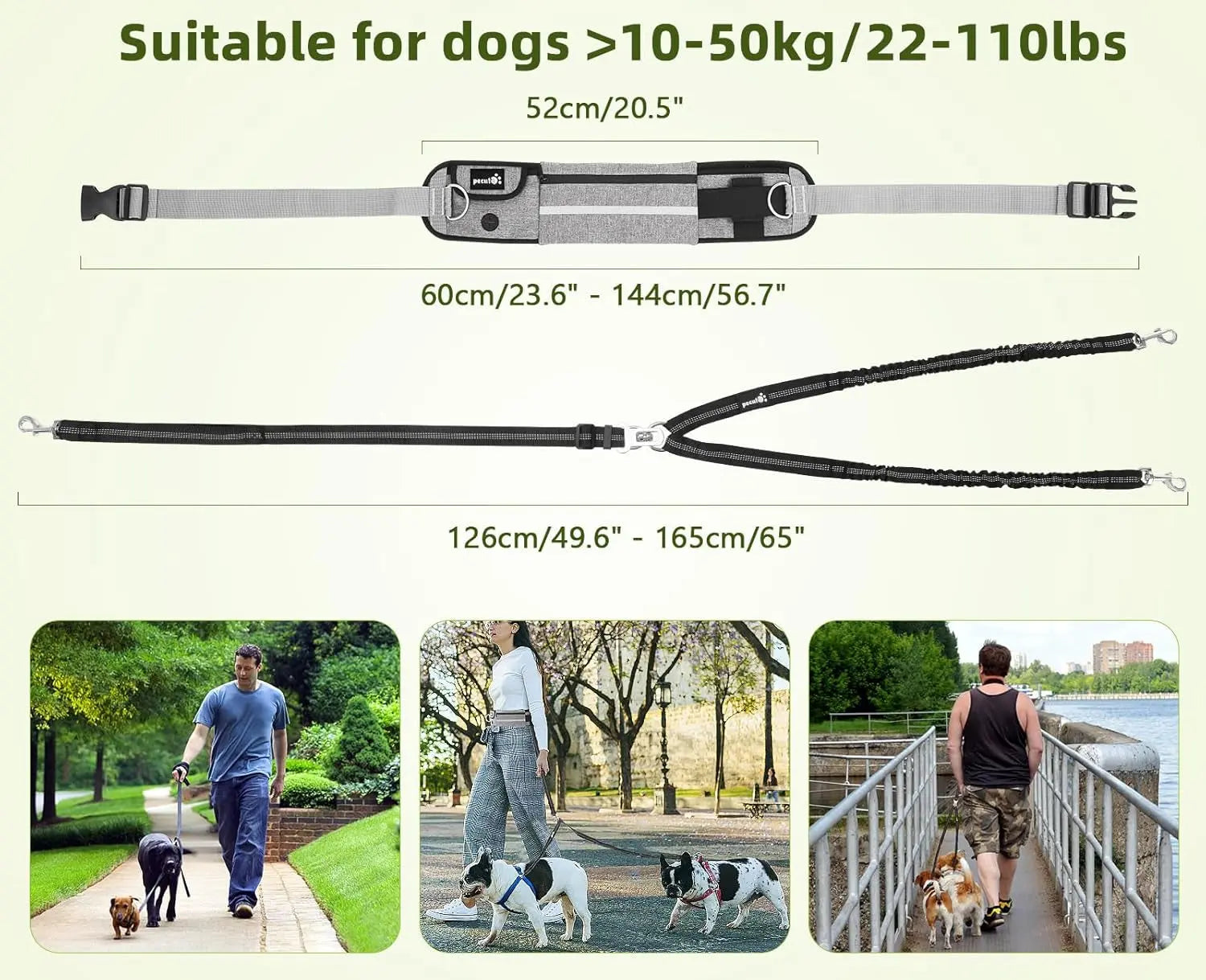Fast Shipping：Hands Free Dog Leash Dual Bungee Adjustable Waist Belt Running Walking