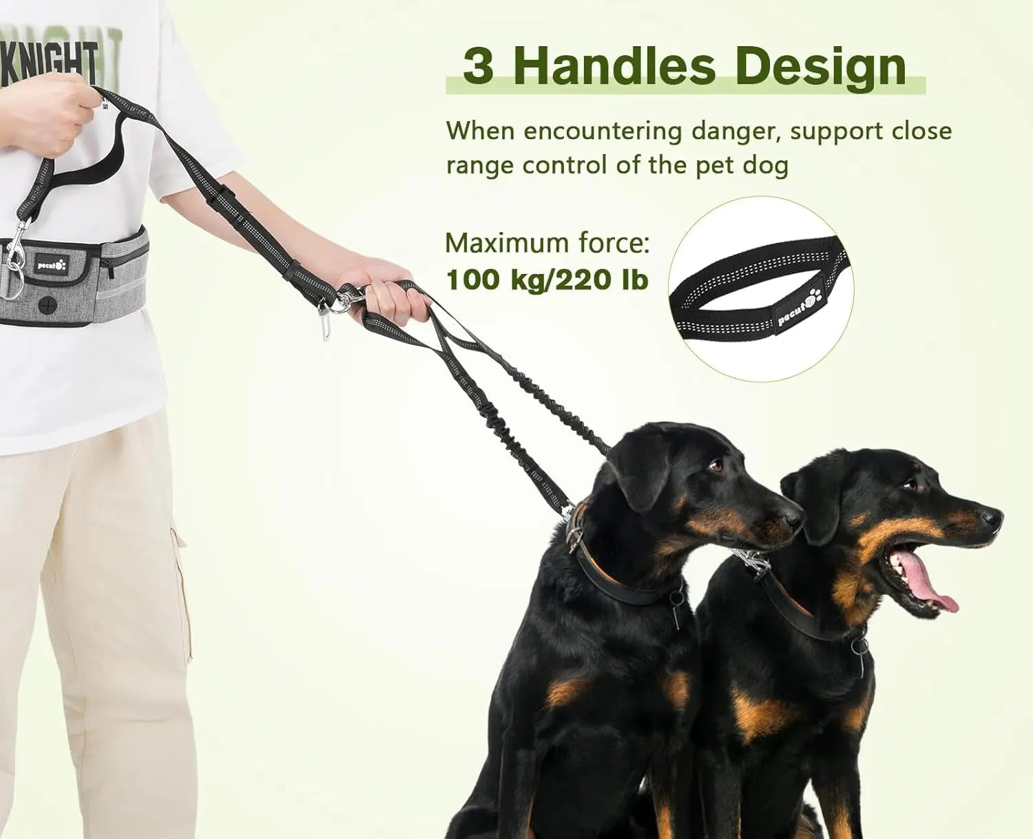 Fast Shipping：Hands Free Dog Leash Dual Bungee Adjustable Waist Belt Running Walking