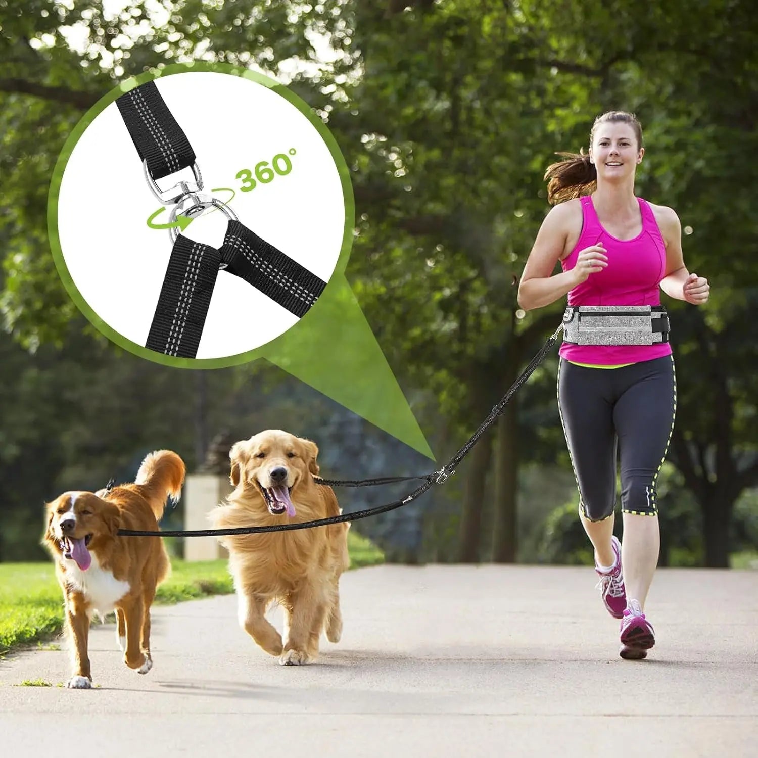 Fast Shipping：Hands Free Dog Leash Dual Bungee Adjustable Waist Belt Running Walking