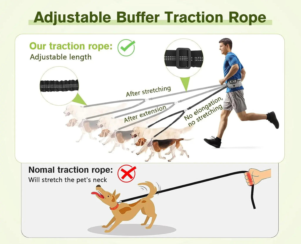 Fast Shipping：Hands Free Dog Leash Dual Bungee Adjustable Waist Belt Running Walking