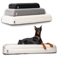 Don't Wait for the Limp — Memory Foam Joint Support for Dogs & Cats
