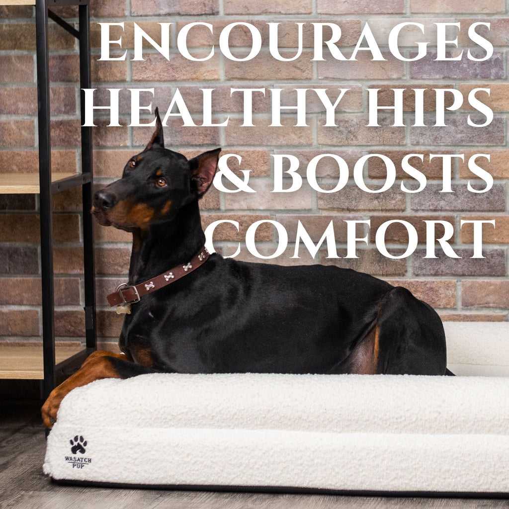 Don't Wait for the Limp — Memory Foam Joint Support for Dogs & Cats