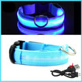 LED Pet Dog Collar for Night Safety | Bright USB Rechargeable