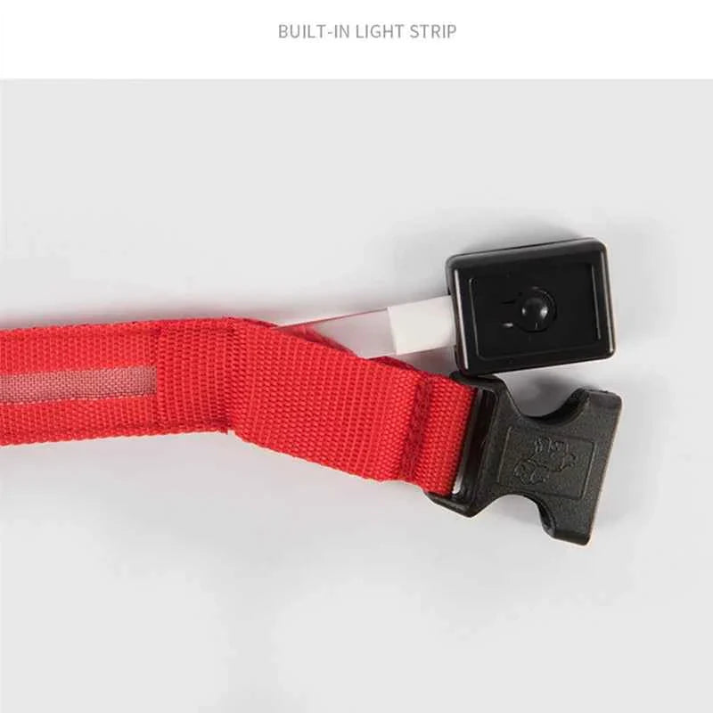 LED Pet Dog Collar for Night Safety | Bright USB Rechargeable