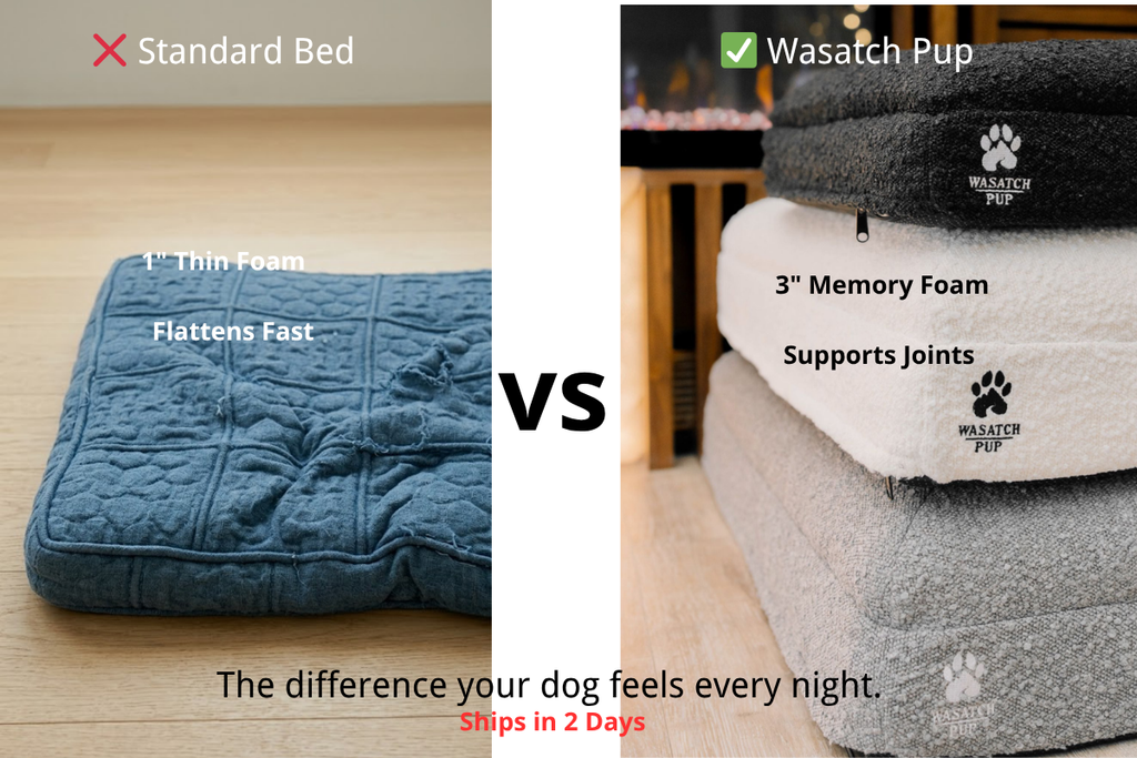 Don't Wait for the Limp — Memory Foam Joint Support for Dogs & Cats