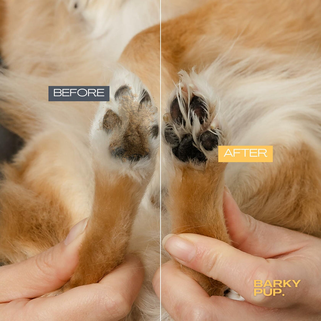Fast Shipping：BARKY PUP Dog Paw Cleaner No-Rinse Foaming Dandelion 6.8 fl oz Made in USA