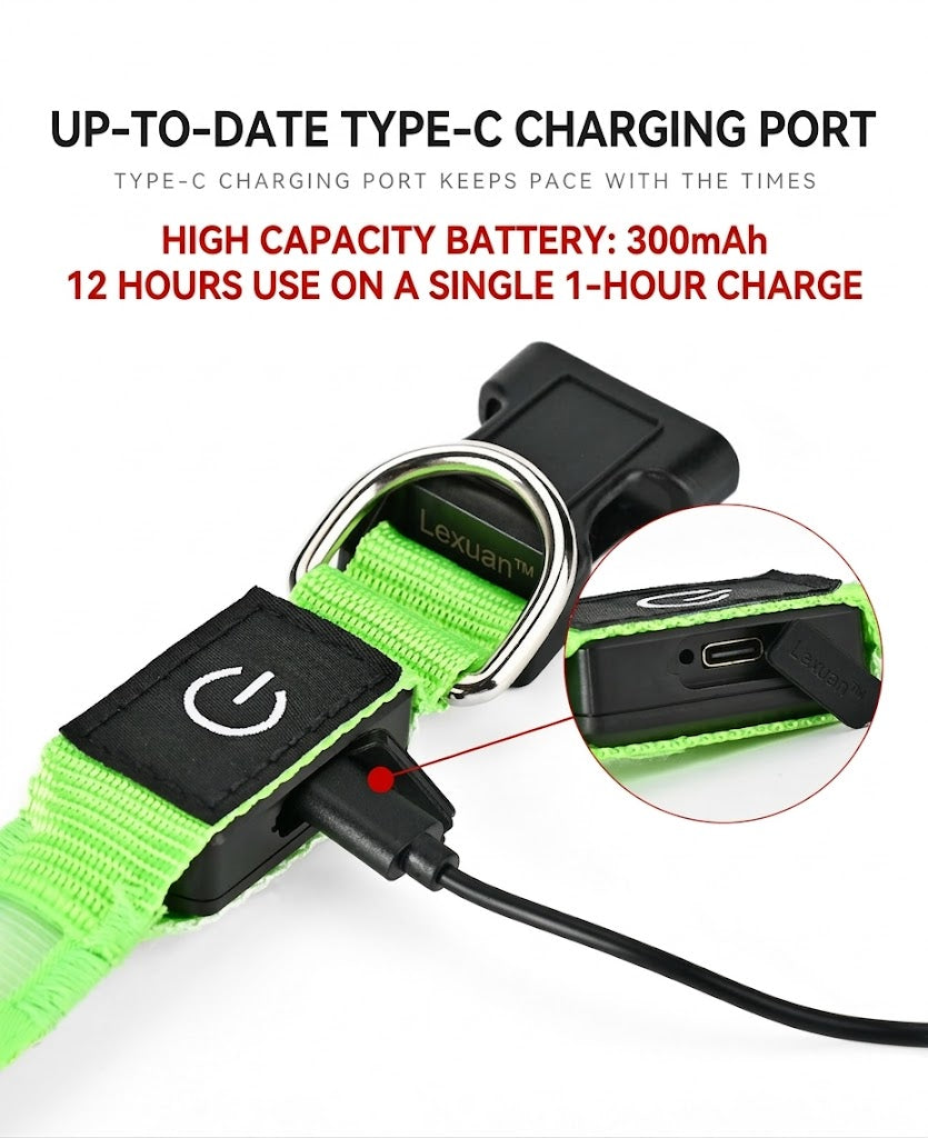 LED Dog Collar USB Rechargeable - Super Bright Fiber Optic Glowing Dog Collar | 3 Lighting Modes Night Safety Light Up Collar for Small Medium Large Dogs - Waterproof & Durable Nylon